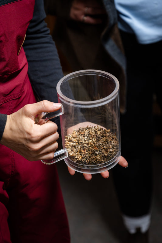 Am I allowed to save flower seeds?