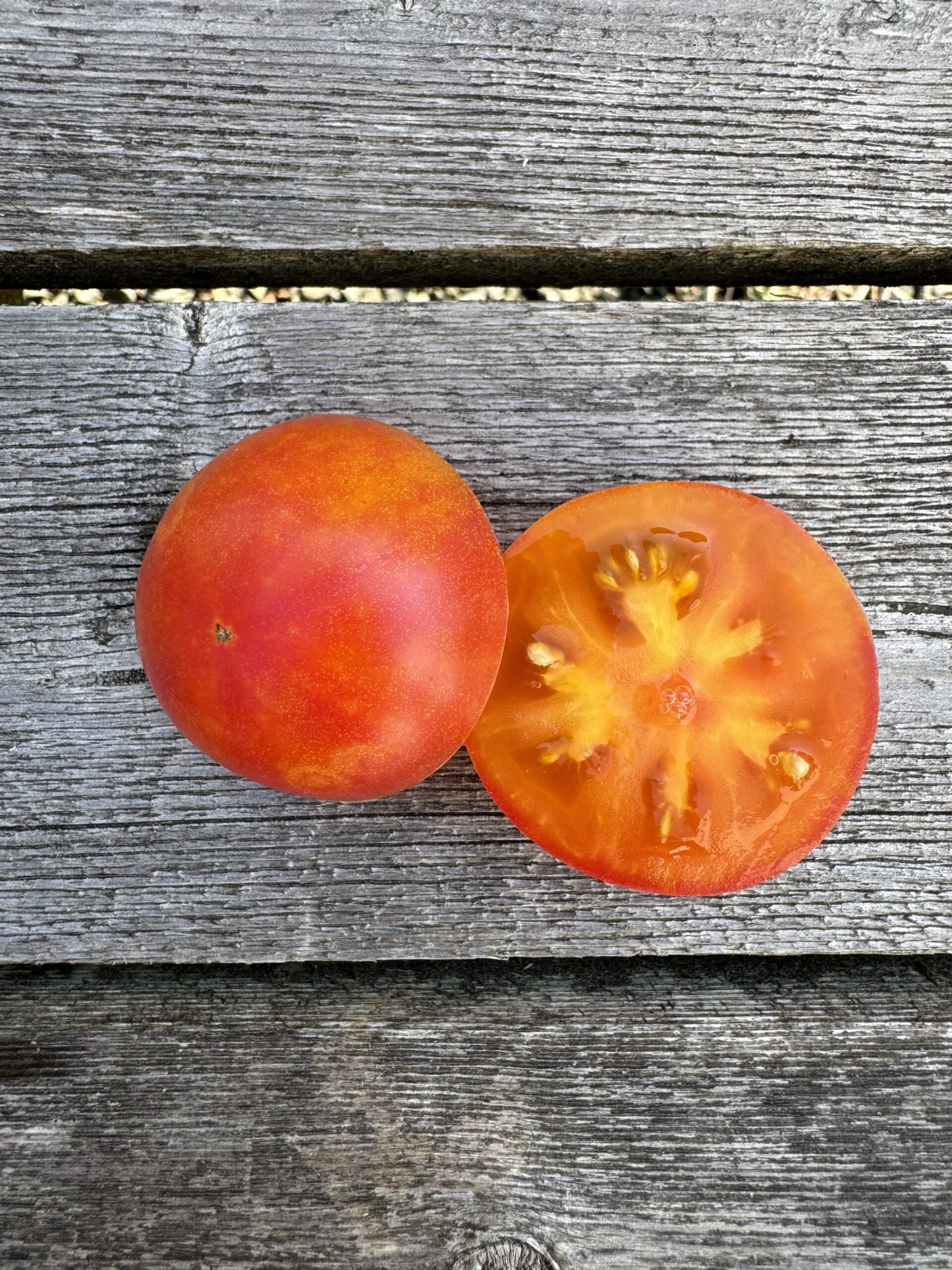 Karma Peach Indeterminate cocktail tomatoes