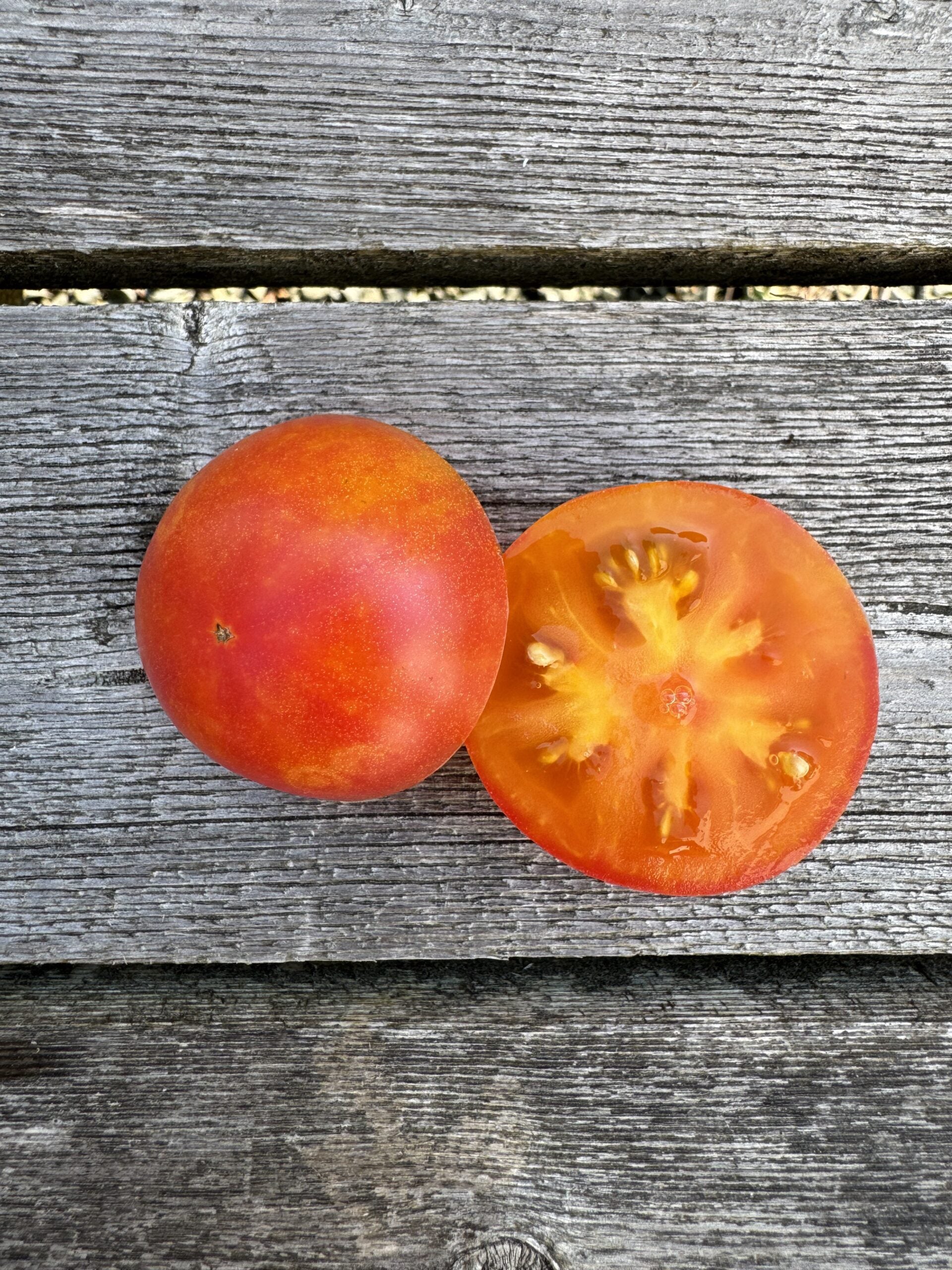 Karma Peach Indeterminate cocktail tomatoes