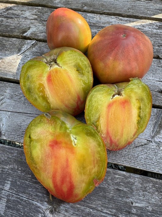 Karen Olivier Tomato Bundle: 19 varieties of seeds