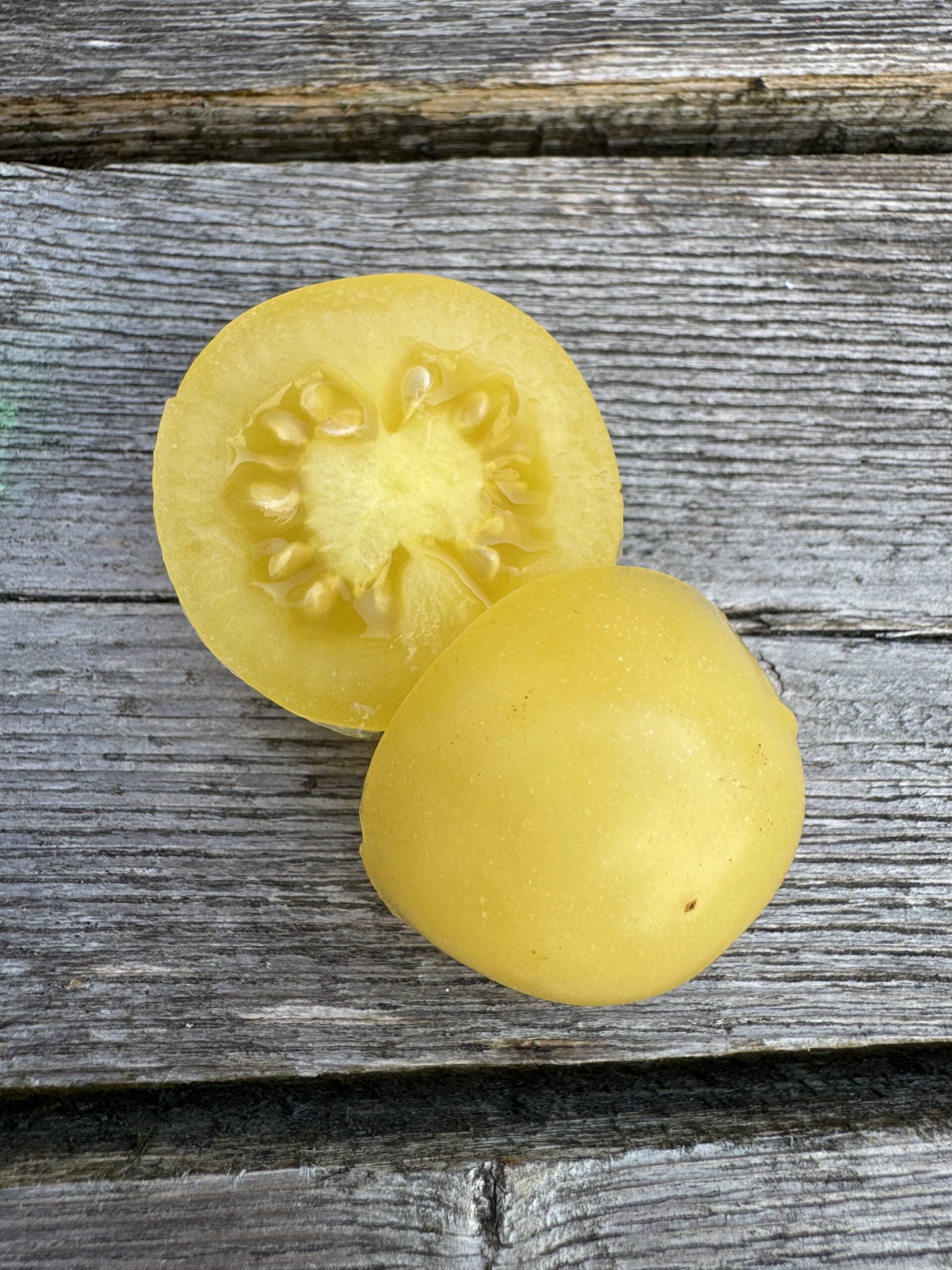 Karen Olivier Tomato Seeds