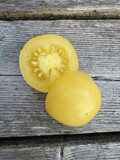 Nightingale Indeterminate Cherry Tomato Seeds