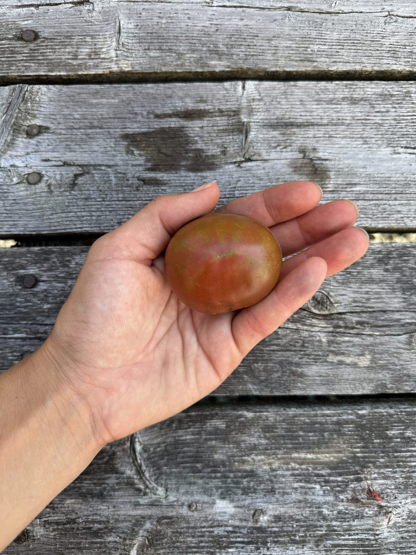 Karma: Miracle Indeterminate Cocktail Tomato Seeds