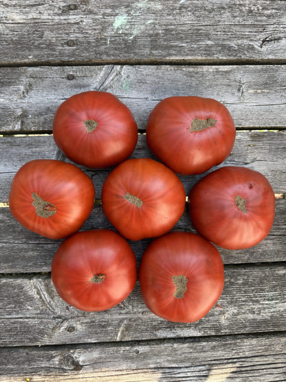 Beefsteak: Cowboy Indeterminate Tomato Seeds