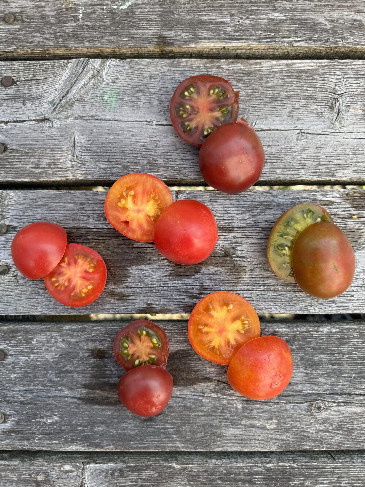 Karma Purple Indeterminate tomatoes