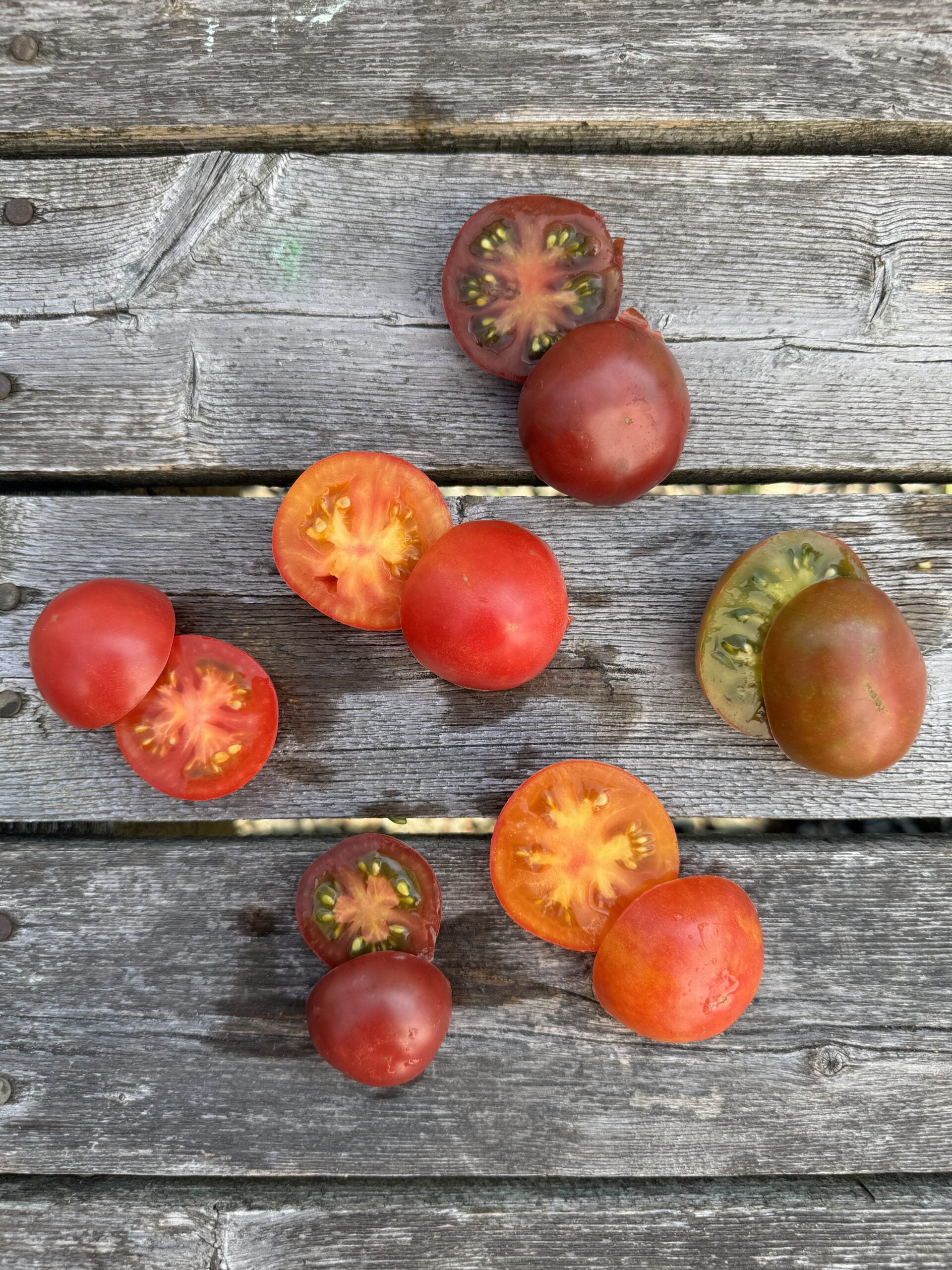 Karma Purple Indeterminate tomatoes