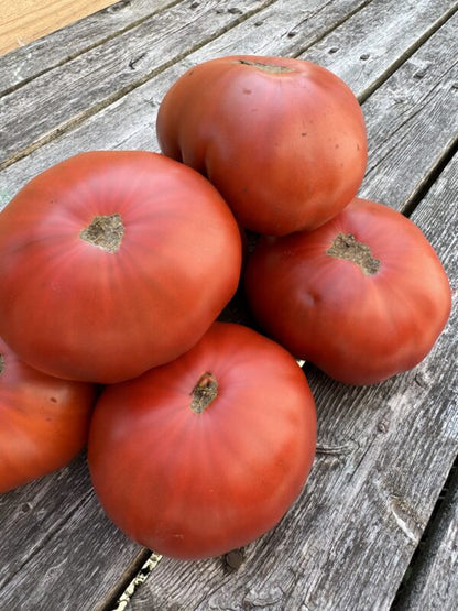 Beefsteak: Cowboy Indeterminate Tomato Seeds