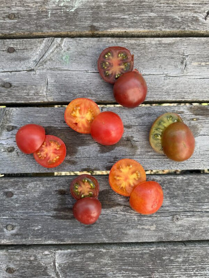 Karma: Purple Multiflora Indeterminate Cocktail Tomato Seeds