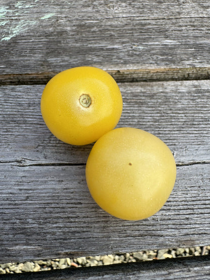 Nightingale Indeterminate Cherry Tomato Seeds