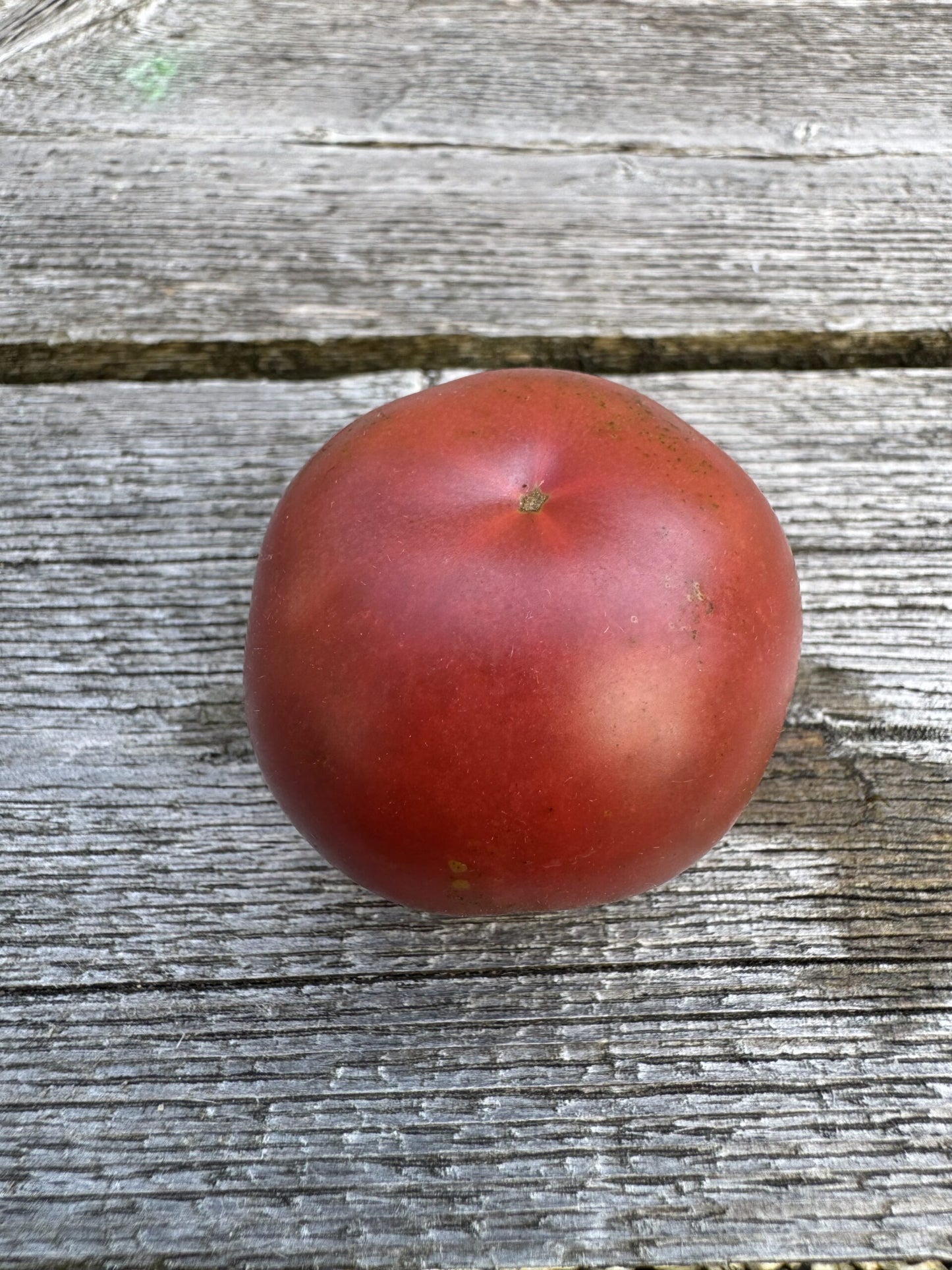 Karma: Purple Multiflora Indeterminate Cocktail Tomato Seeds