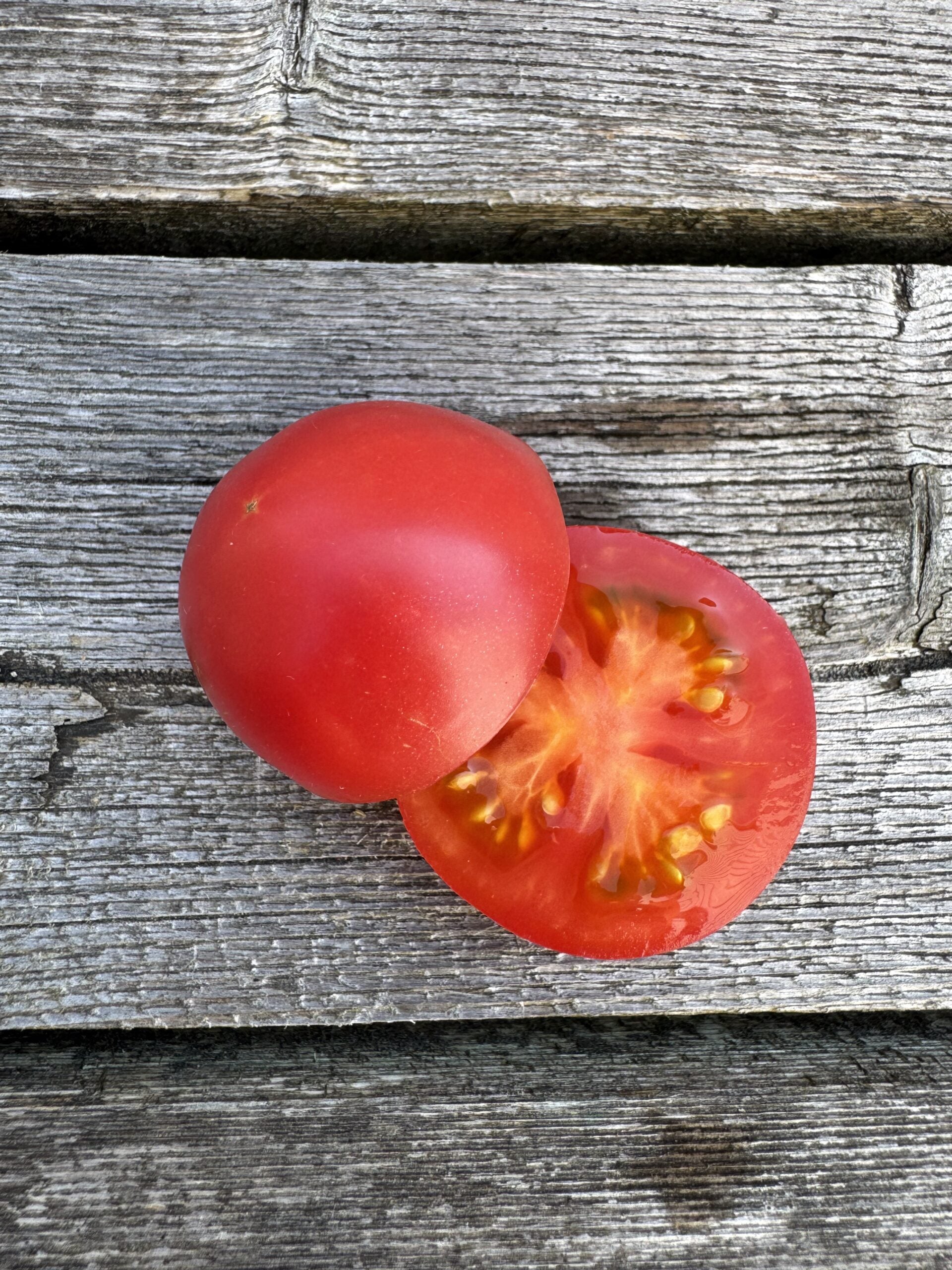 Karma Pink Indeterminate tomatoes