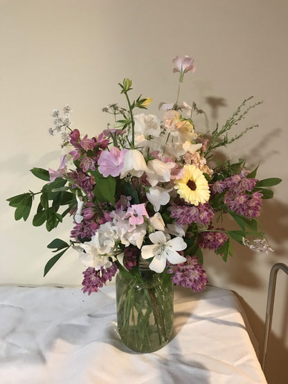 Cress Wrinkled Crinkled Crumpled Seeds