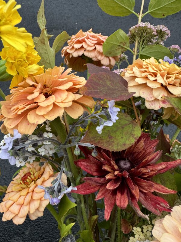 Marigold Afternoon Lemonade