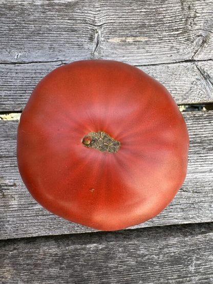 Beefsteak: Cowboy Indeterminate Tomato Seeds