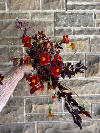 Marigold Cinnabar Seeds