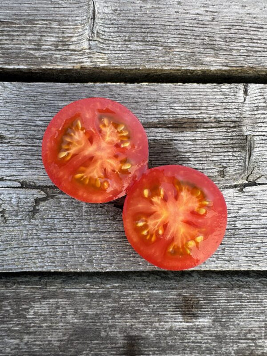 Karma Pink Indeterminate tomatoes