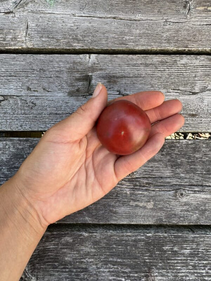 Karma Purple Indeterminate tomatoes