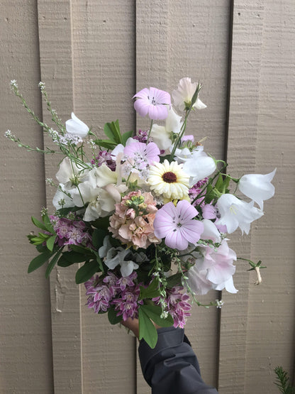 Cress Wrinkled Crinkled Crumpled Seeds