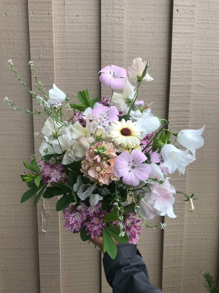 Calendula Ivory Princess Seeds