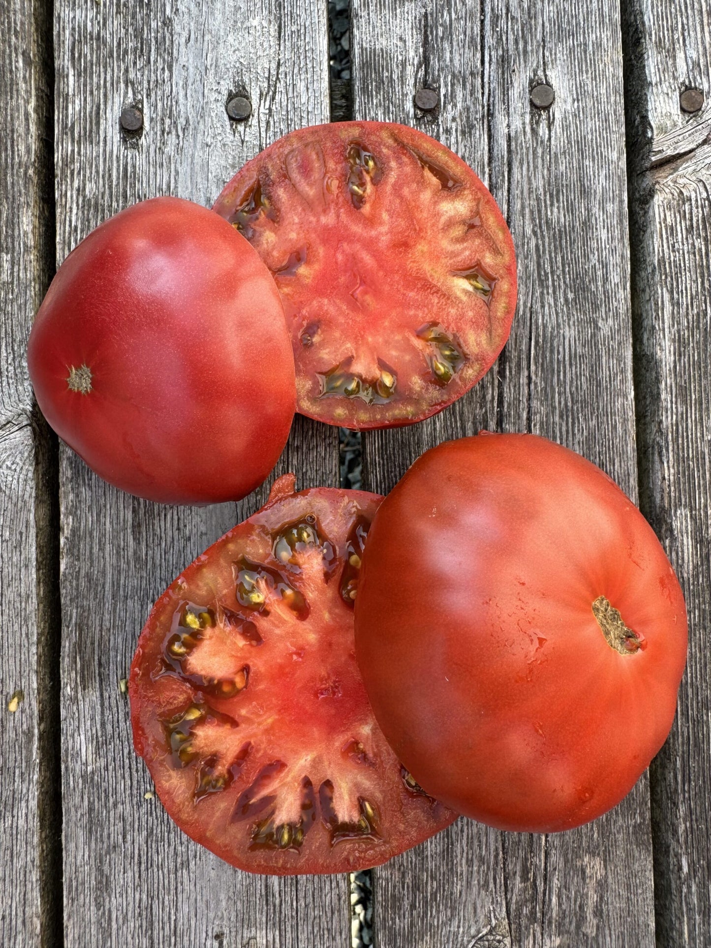 Karen Olivier Tomato Bundle: 19 varieties of seeds