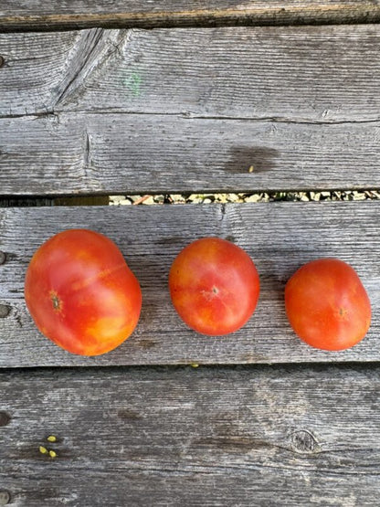 Karma: Peach Indeterminate Cocktail Tomato Seeds