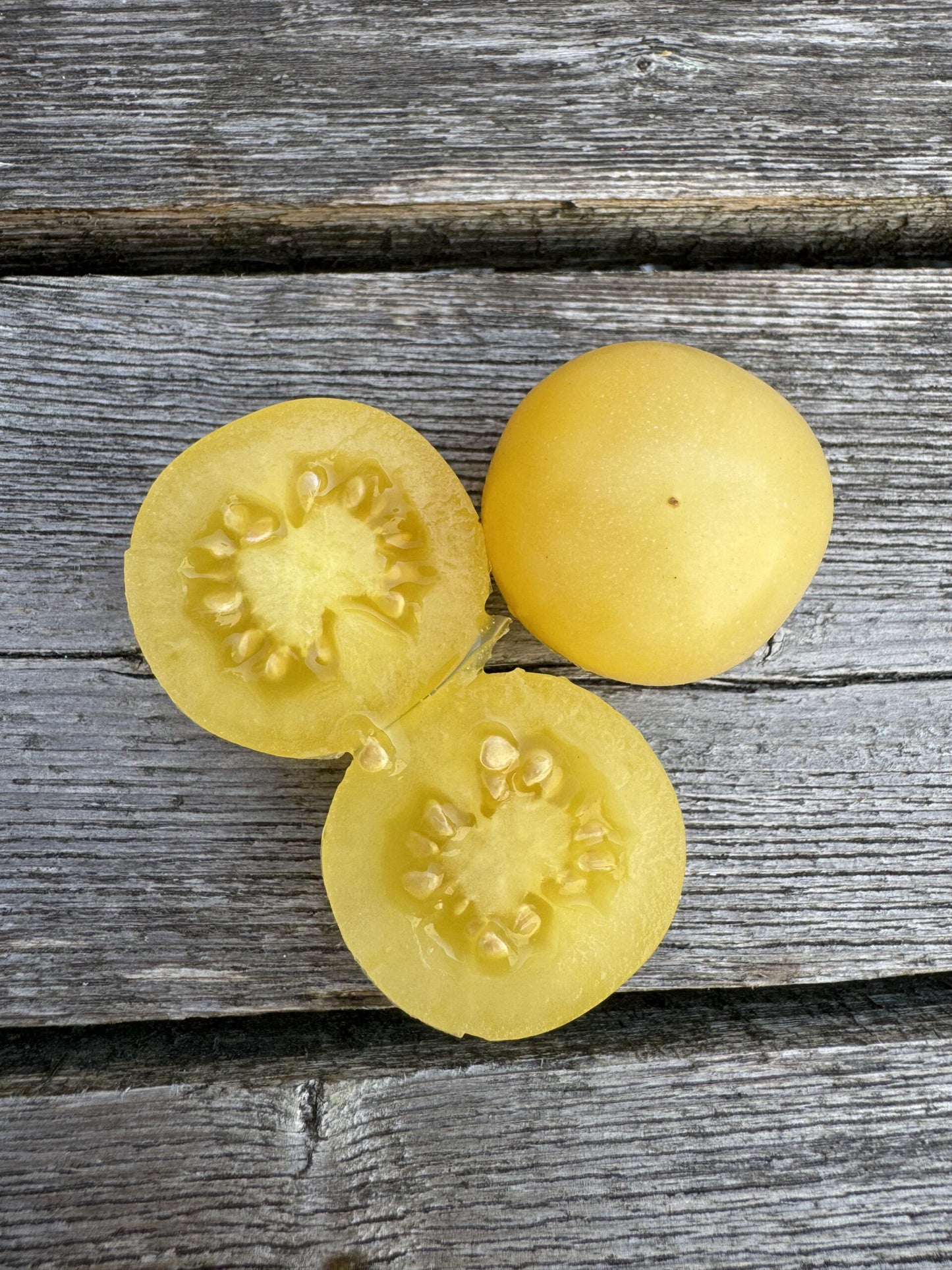 Nightingale Indeterminate Cherry Tomato Seeds
