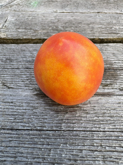 Karma: Apricot Indeterminate Cocktail Tomato Seeds