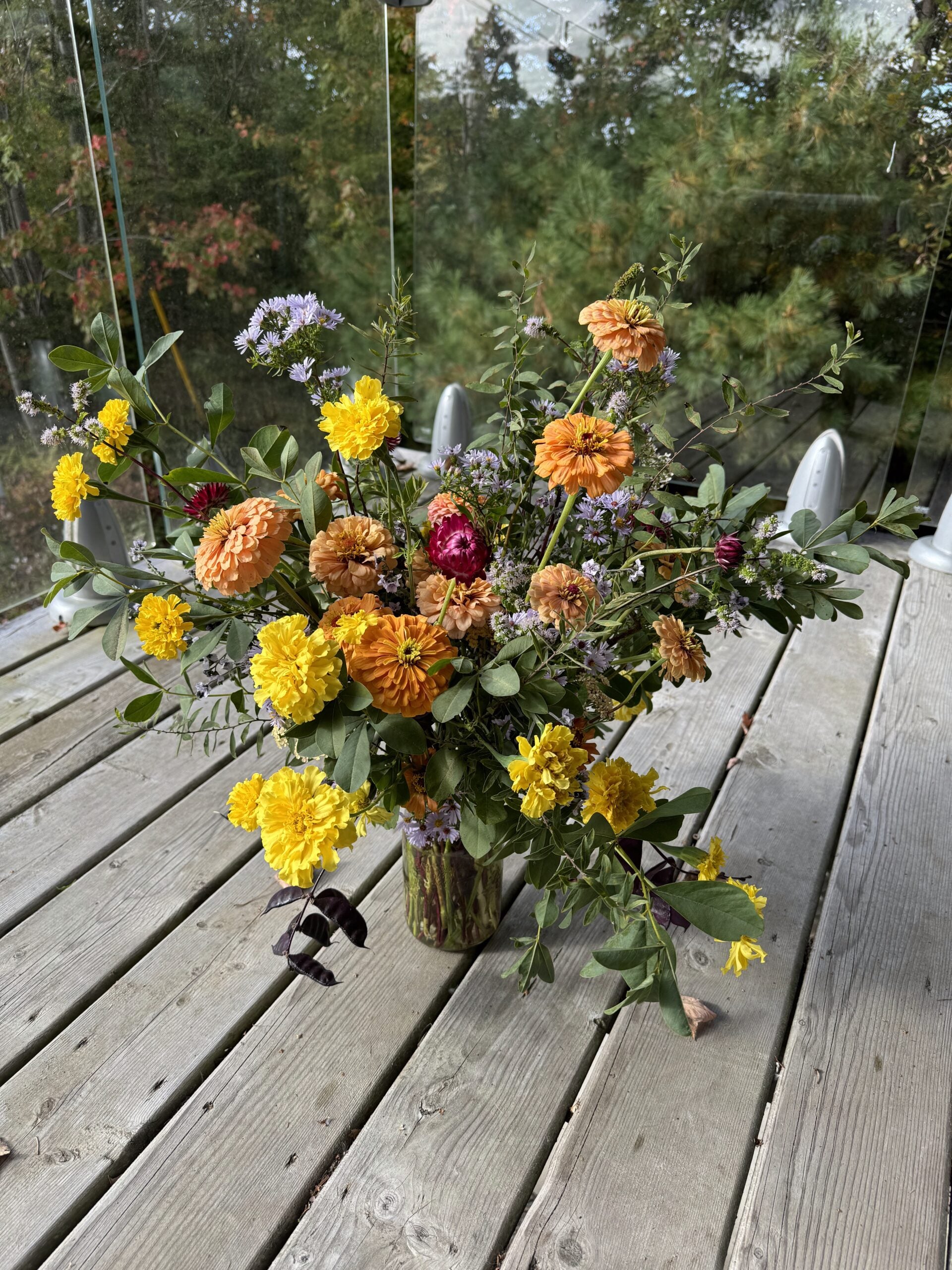 Strawflower Purple Red Seeds