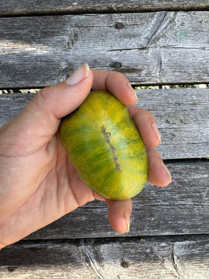 Wizard of Oz: Emerald City Dwarf Mini Beefsteak Tomato Seeds