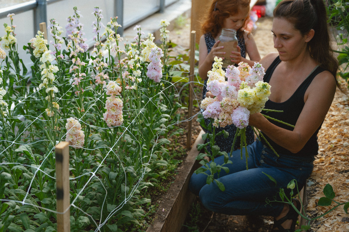 Flower Seed Farmer Help with Erika Clarke