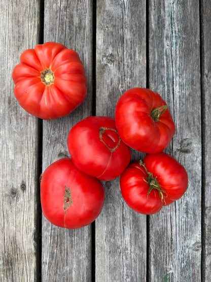 Beefsteak: Oh Canada Red Indeterminate Tomato Seeds