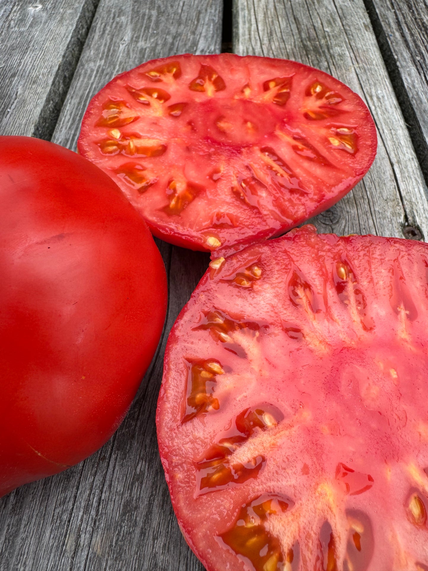 Beefsteak: Oh Canada Red Indeterminate Tomato Seeds