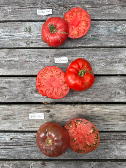 Beefsteak: Wild Rose Country Indeterminate Tomato Seeds