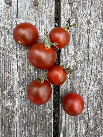 Cinnamon Girl Indeterminate Cherry Tomato Seeds