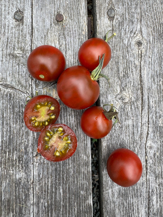 Cinnamon Girl Indeterminate Cherry Tomato Seeds