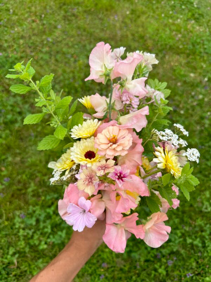 Yarrow Favourite Berries