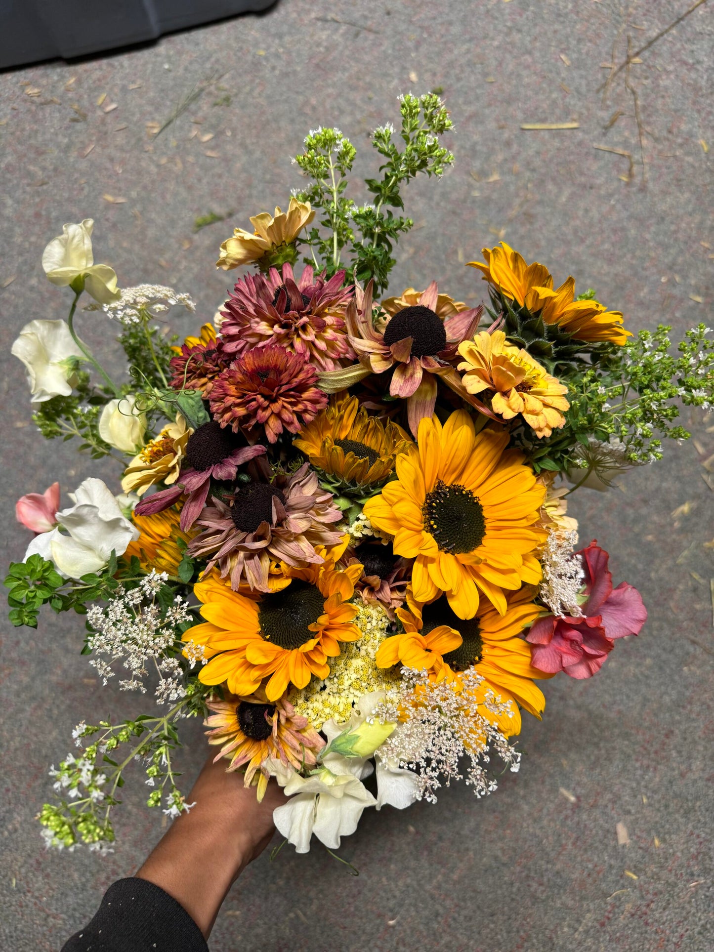 Rudbeckia Sahara Reds