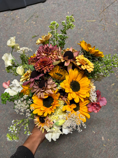 Rudbeckia Sahara Reds