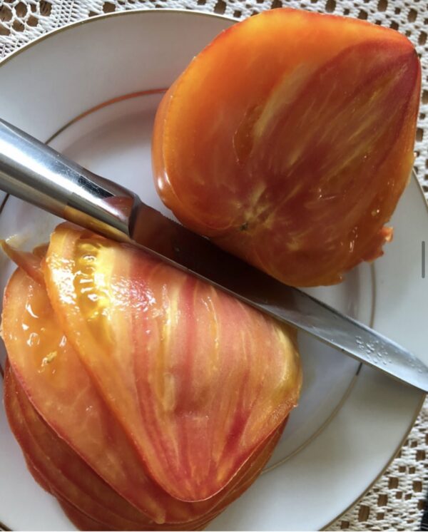 Farm Faves: 5 Top Karen Olivier Tomato Seeds Bundle