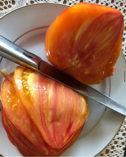 Farm Faves: 5 Top Karen Olivier Tomato Seeds Bundle