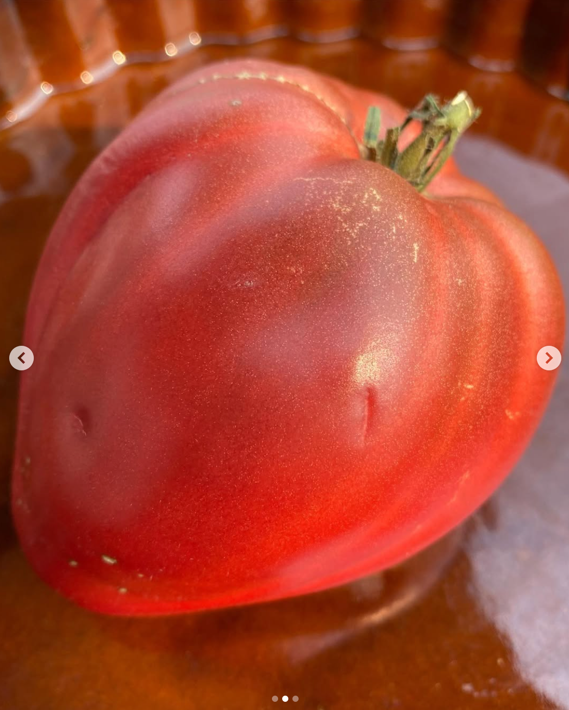 Oxheart: Tundra Indeterminate Tomato Seeds