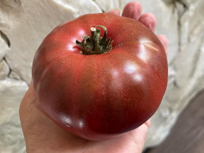 Beefsteak: One Trick Pony Indeterminate Tomato Seeds