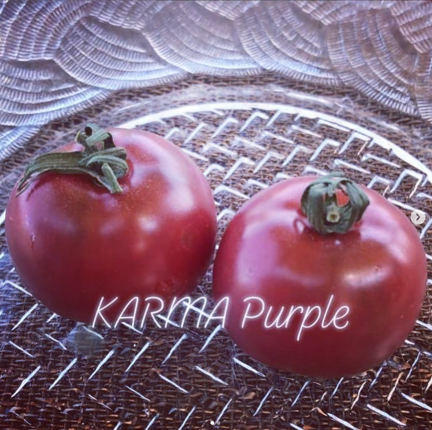 Karma: Purple Indeterminate Cherry Tomato Seeds
