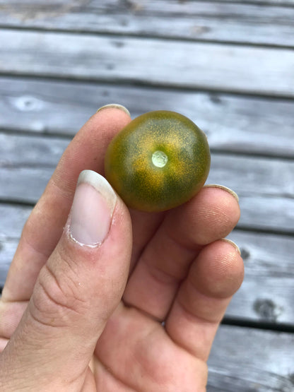 Sweet Baby Jade Dwarf Cherry Tomato Seeds