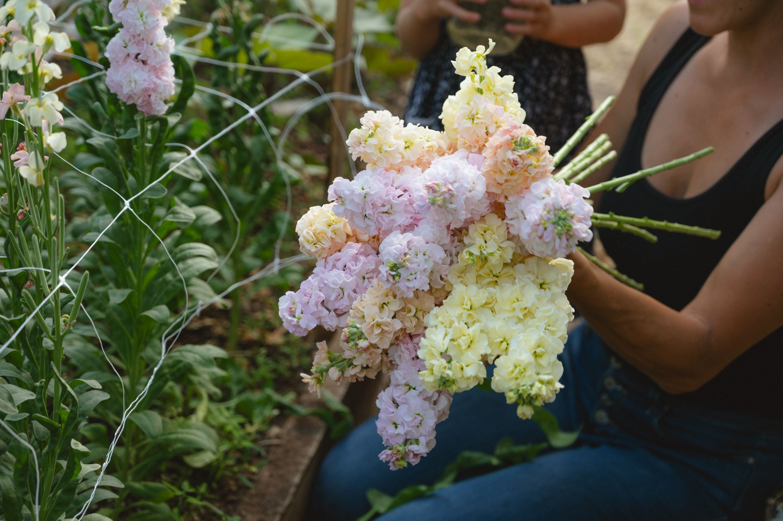 Flower Seed Saving Course with Sow local Seeds