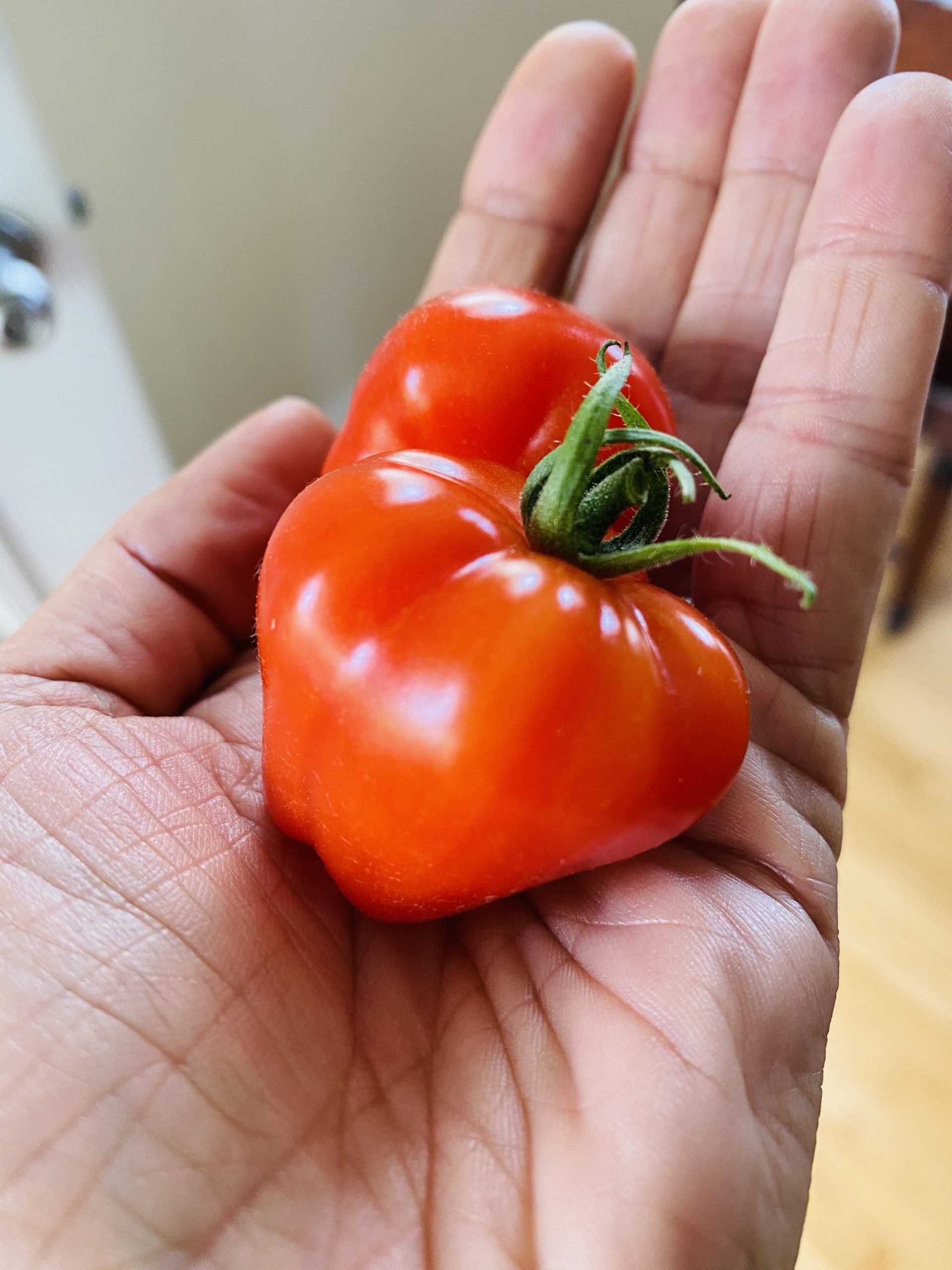 Gardener's Sweetheart Cherry Tomato Seeds