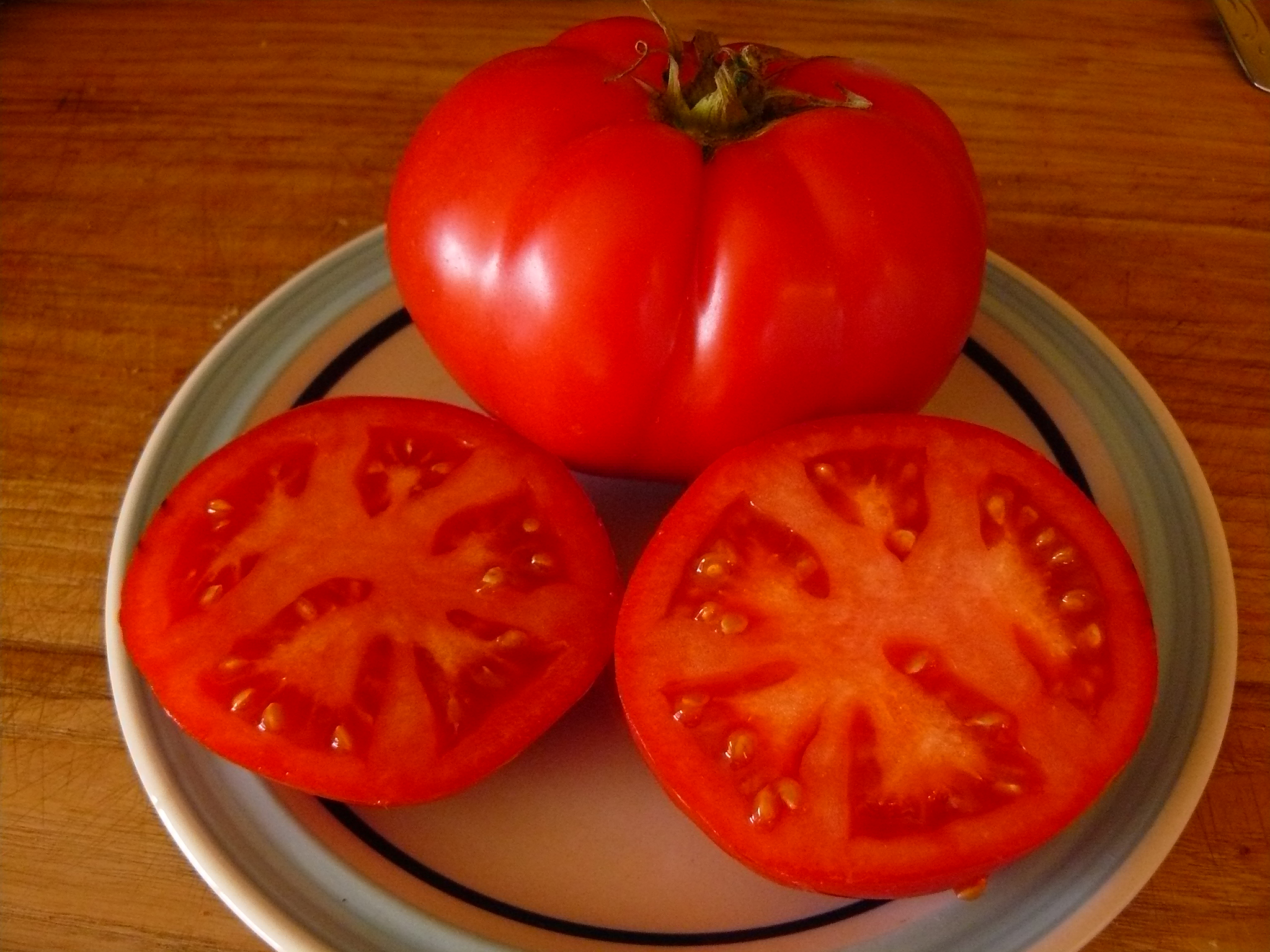 Bison Determinate Red Slicing Tomato Seeds