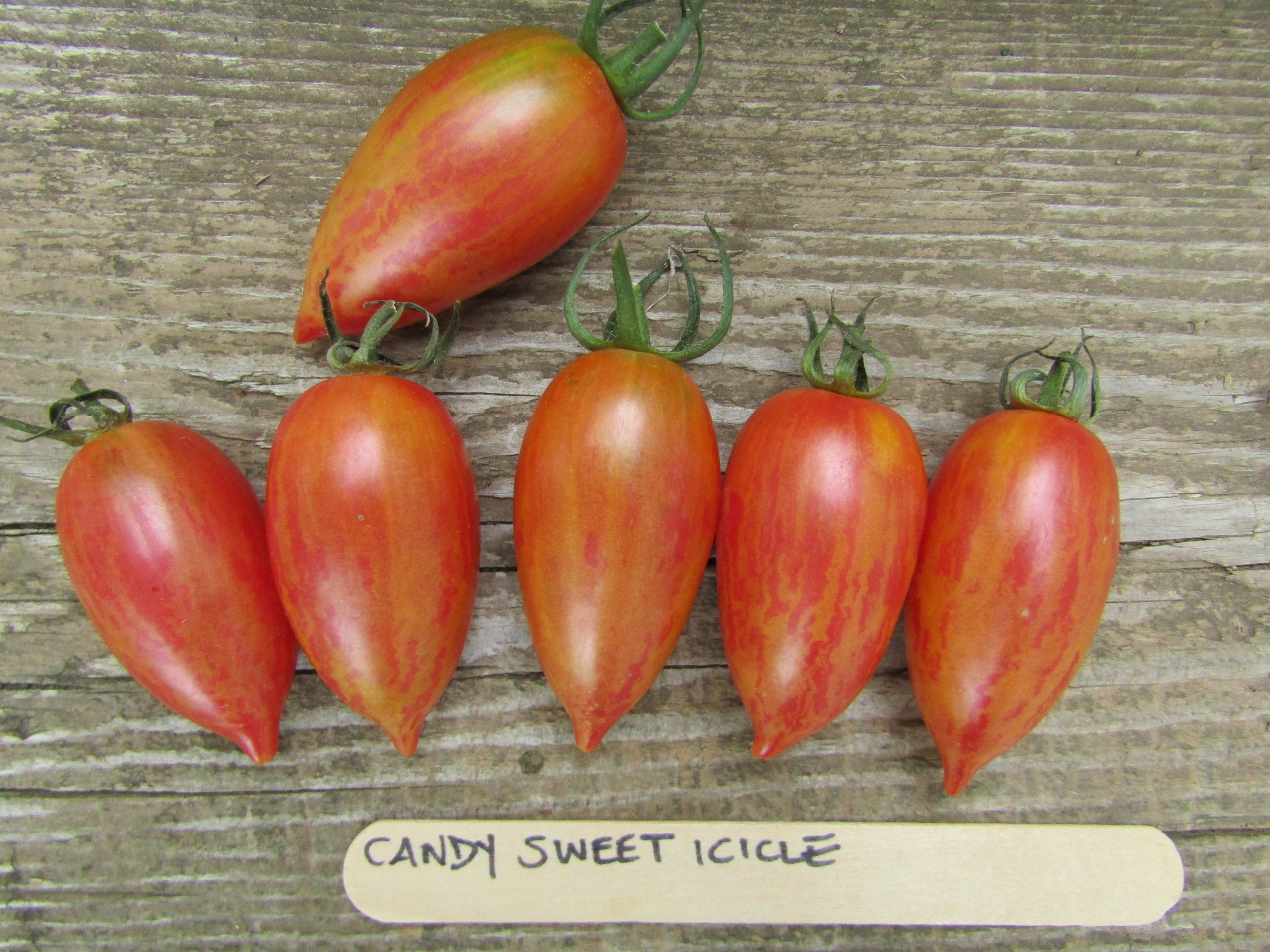 Candy Sweet Icicle Indeterminate Tomato Seeds