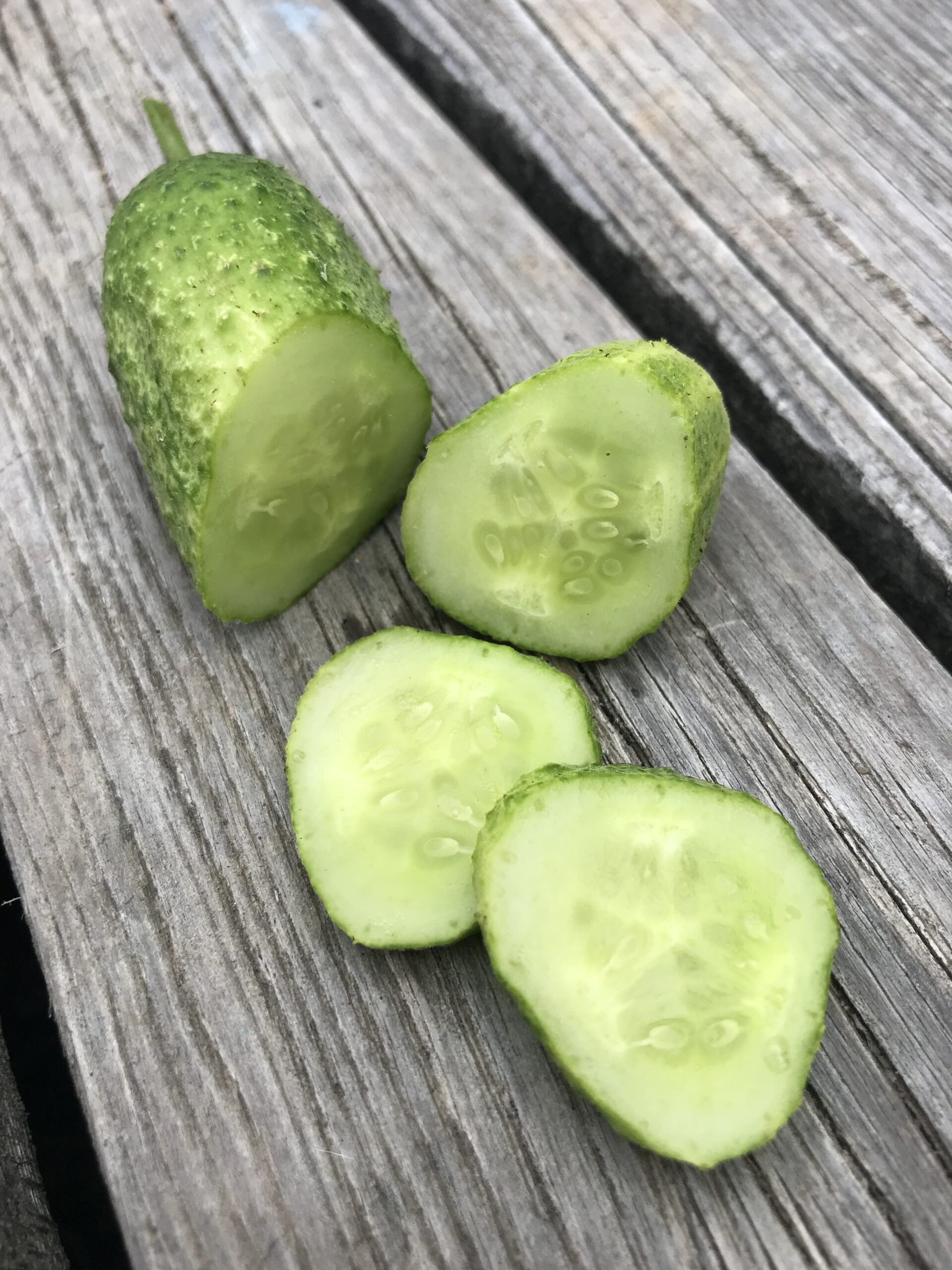 Vorgebirgstrauben Pickling Cucumber Seeds