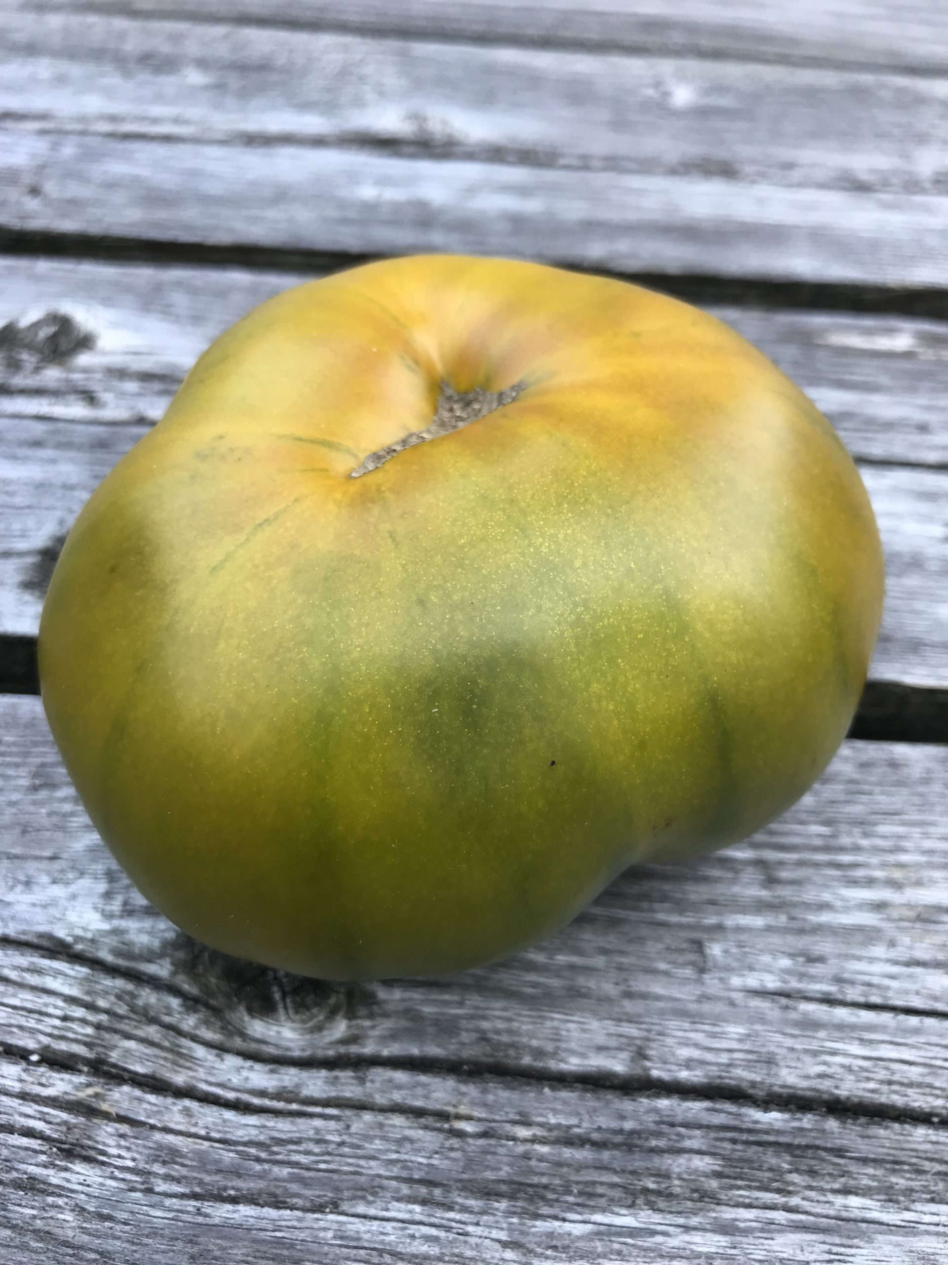 Emerald Evergreen Indeterminate Slicing Tomato Seeds